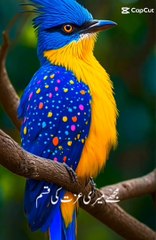 Quran tilawat allahoo akbar