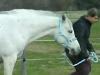 Toi et moi toujours ensemble