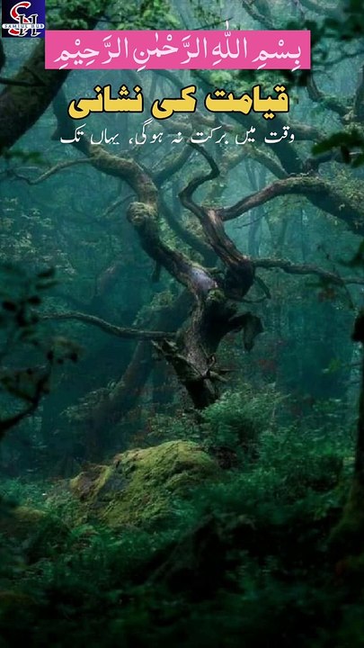 Qayamat Ki Nisaani |  Qayamat Ki Nisaani | Qayamat KI Kounsi Nisaaniyan Hain | #trending #shortsvideo #qayamat