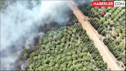 Bayramiç'teki orman yangını 24 saat sonra kontrol altına alındı