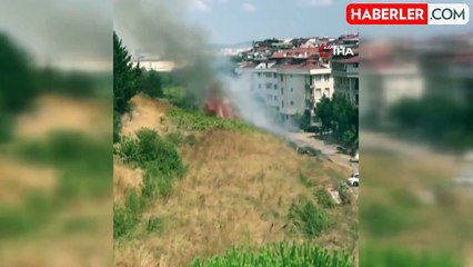 Sancaktepe'de ormanlık alanda yangın