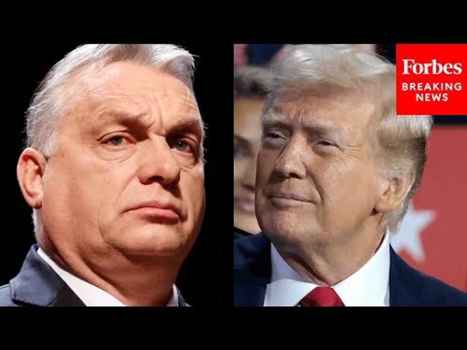 'Very Powerful, Tough Leader': Donald Trump Praises Hungarian PM Viktor Orbán During RNC Speech
