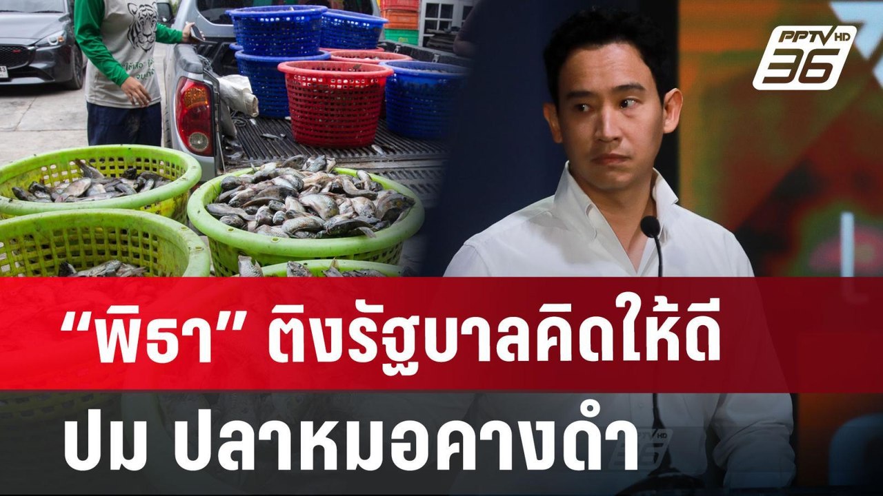 “พิธา” ติงรัฐบาลคิดให้ดี ปม ปลาหมอคางดำ | เข้มข่าวค่ำ | 20 ก.ค. 67