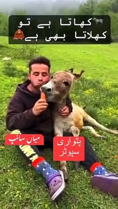 The Voice of World community / love