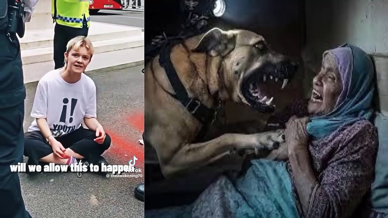 This British Boy Speak 100 % truth about Israel || هذا الصبي البريطاني يتكلم الحقيقة بنسبة 100% عن إسرائيل