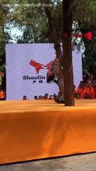 INCROYABLE : À 9 ans,Zhang Sixuan est le vainqueur du concours mondial Shaolin Kungfu 2024