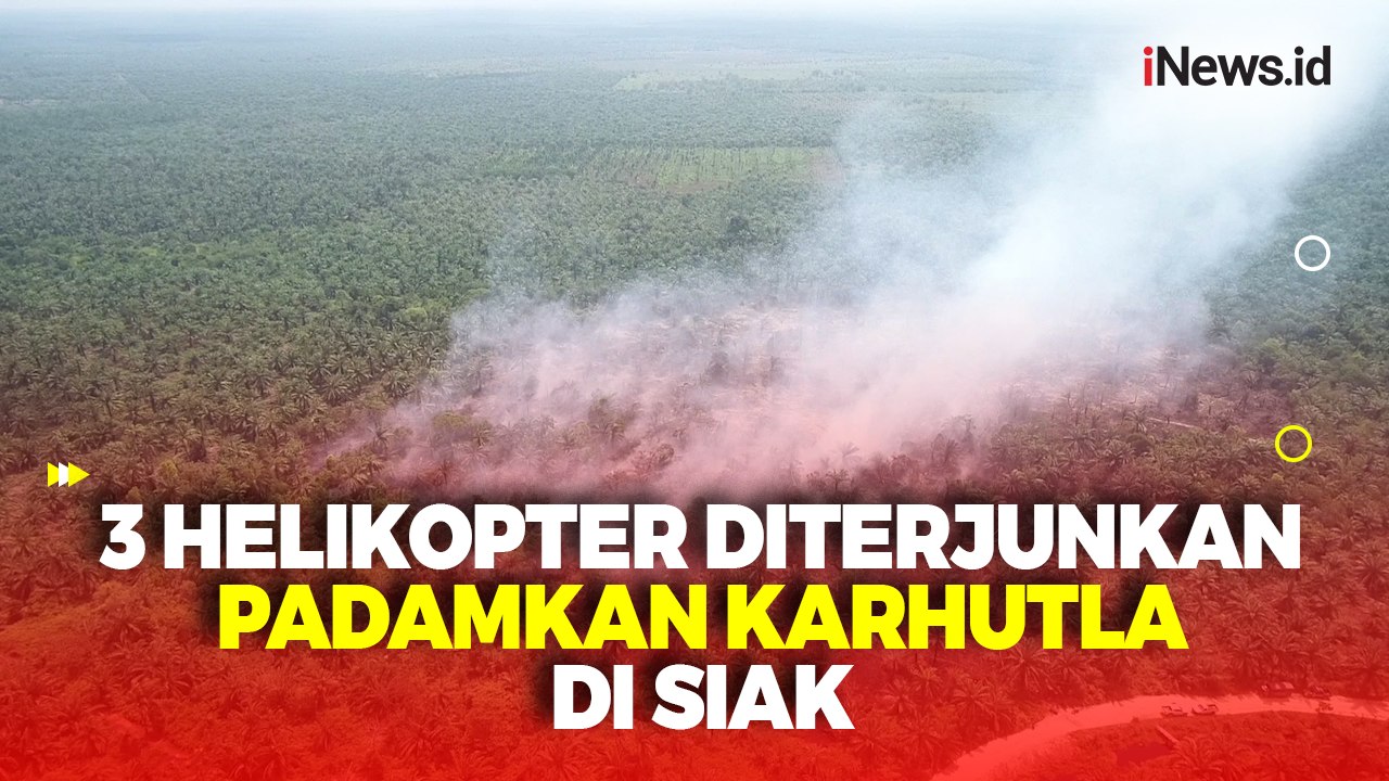 Lokasi Sulit Dijangkau, 3 Helikopter Diterjunkan Padamkan Karhutla di Siak