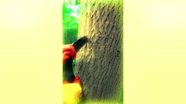 Satisfying Videos of Workers Doing Their Job Perfectly-(1080p)