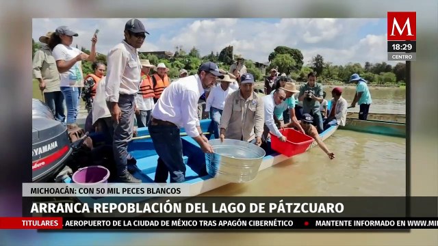 Da inicio la repoblación con 50 mil peces blancos en el lago de Pátzcuaro
