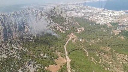Antalya'nın Konyaaltı ilçesinde orman yangını