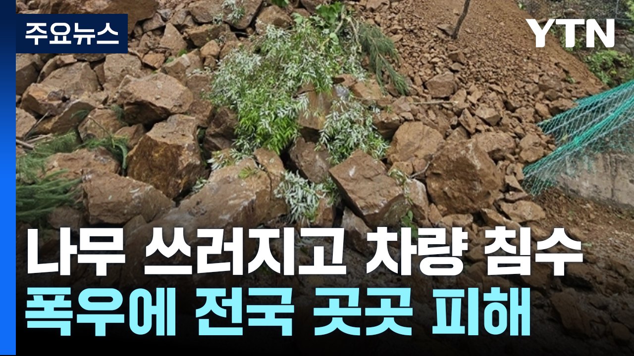 도로에 나무 쓰러지고 차량 침수...강한 비로 곳곳 피해 / YTN