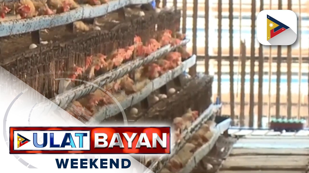 DA, nagpaalala kaugnay ng paggamit at pagbebenta ng hindi awtorisadong bakuna laban sa bird flu