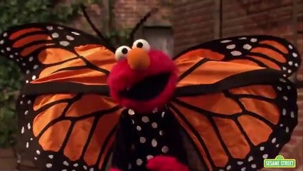 Elmo's Butterfly Friend | Sesame Street Full Episode.