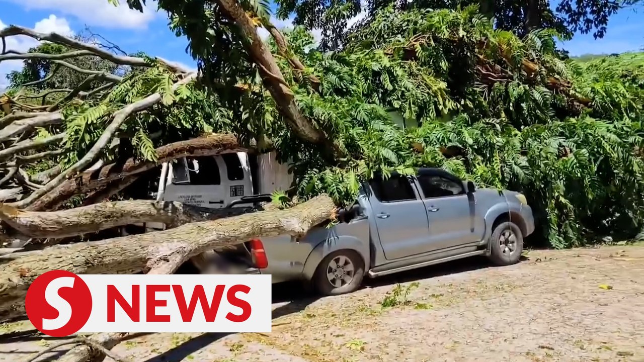 Five vehicles damaged by fallen tree in Tamparuli, Sabah