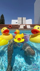 I Have Ducks Stuck In My Ears