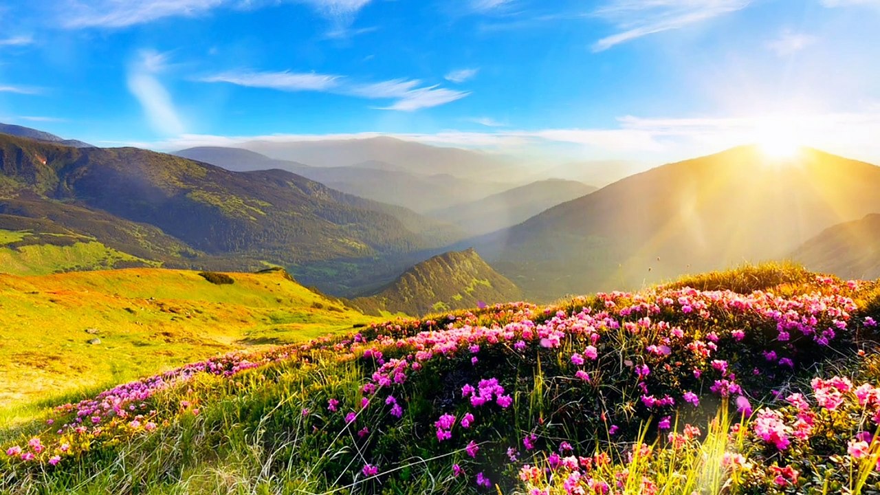 Âm nhạc thư giãn trị liệu với cảnh đẹp nhân gian - Thảo Nguyên khi giao mùa (Awesome scenery - Tuyệt đỉnh cảnh sắc)