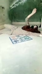 Lokal dance viral video viral dance viral