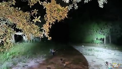 I Went To A REAL Haunted Pet Cemetery And Spent The Night _ OmarGoshTV