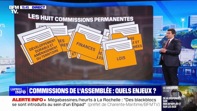 Assemblée nationale: quels enjeux pour les Commissions?