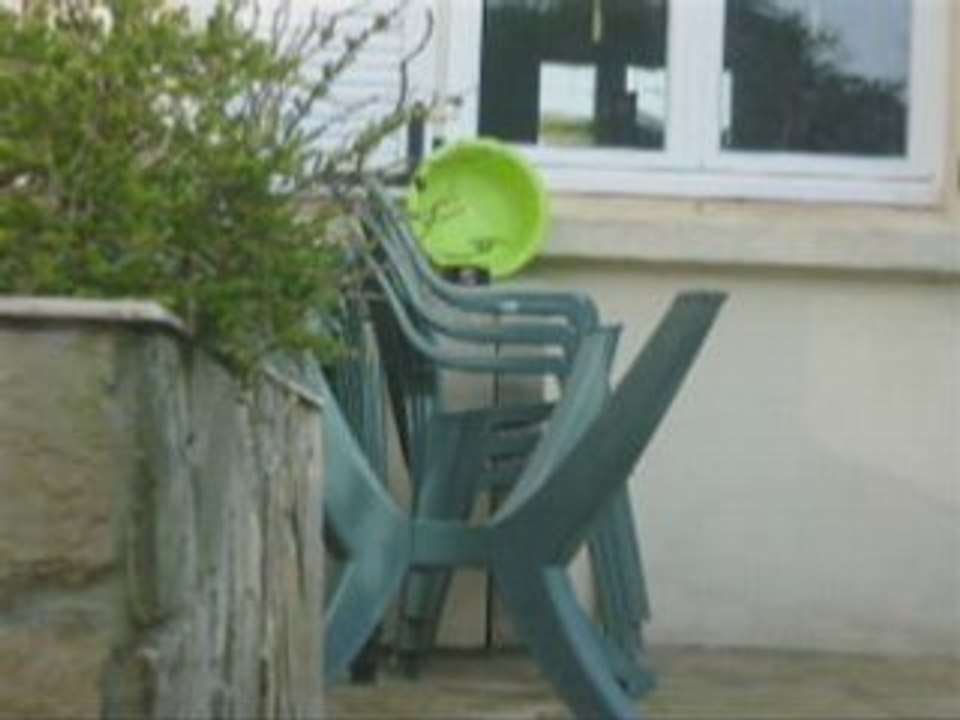 Urban golf in the garden