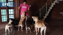 Decenas de perros rescatados conviven en un piso con una mujer en Bangalore