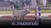 เมื่อท่านประธาน..โบ้ มาเปิดงานเอง