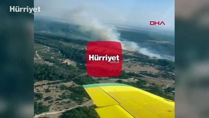 İzmir'in Buca ilçesinde orman yangını