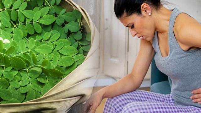 Benefits Of Moringa Powder: Menstruation Me Sahjan Khane Ke Fayde, Periods Cramp Relief ...|Boldsky