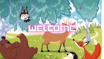 Sheep and wolves