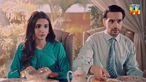 Kitni Girhain Baqi Hain - Sartaaj - [ Amna Ilyas & Usama Khan ] 20 July 2024 - HUM TVdrama
