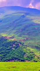 Breathtaking Nathia Gali Views