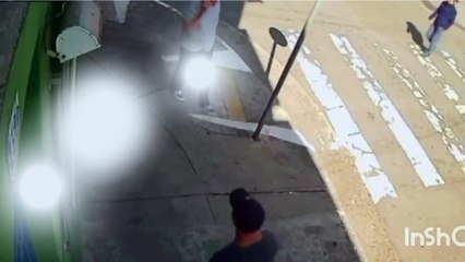 Graban cuando joven es embestido por bus