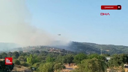 Çanakkale'de orman yangını çıktı
