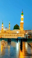 آپ صلی اللہ علیہ وسلم پیر اٹھے اور فارمایا