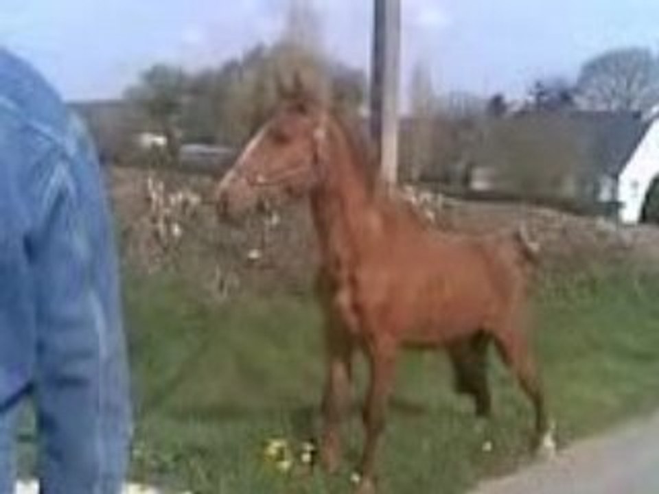Vidéo011