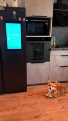 Mon frigo a l’écran bleu du bug Windows