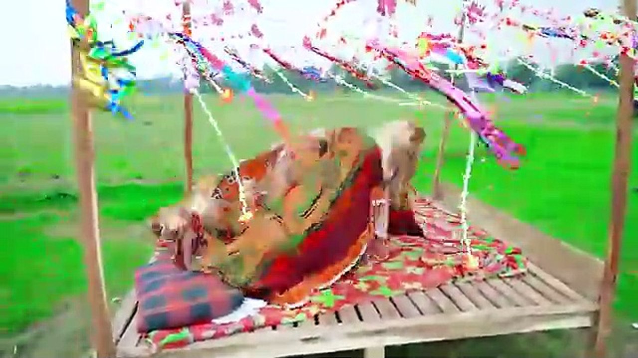 Must Watch New Special Comedy Video 2024 Totally Amazing Comedy Episode 275 by Busy Fun Ltd