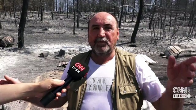 İzmir'de orman küle döndü! Yangından geriye bu manzara kaldı...