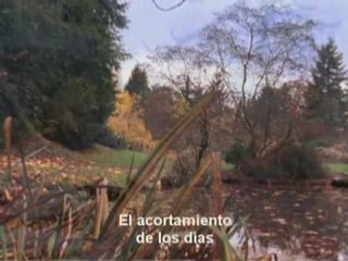 Origenes del cristianismo