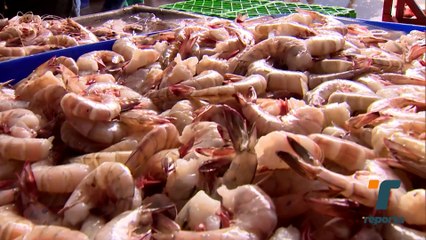 Pescadores preocupados por bajas ventas de langostinos
