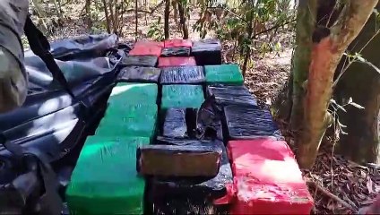 Polícia Ambiental localiza 933,85 quilos de maconha em ilha no Porto Camargo