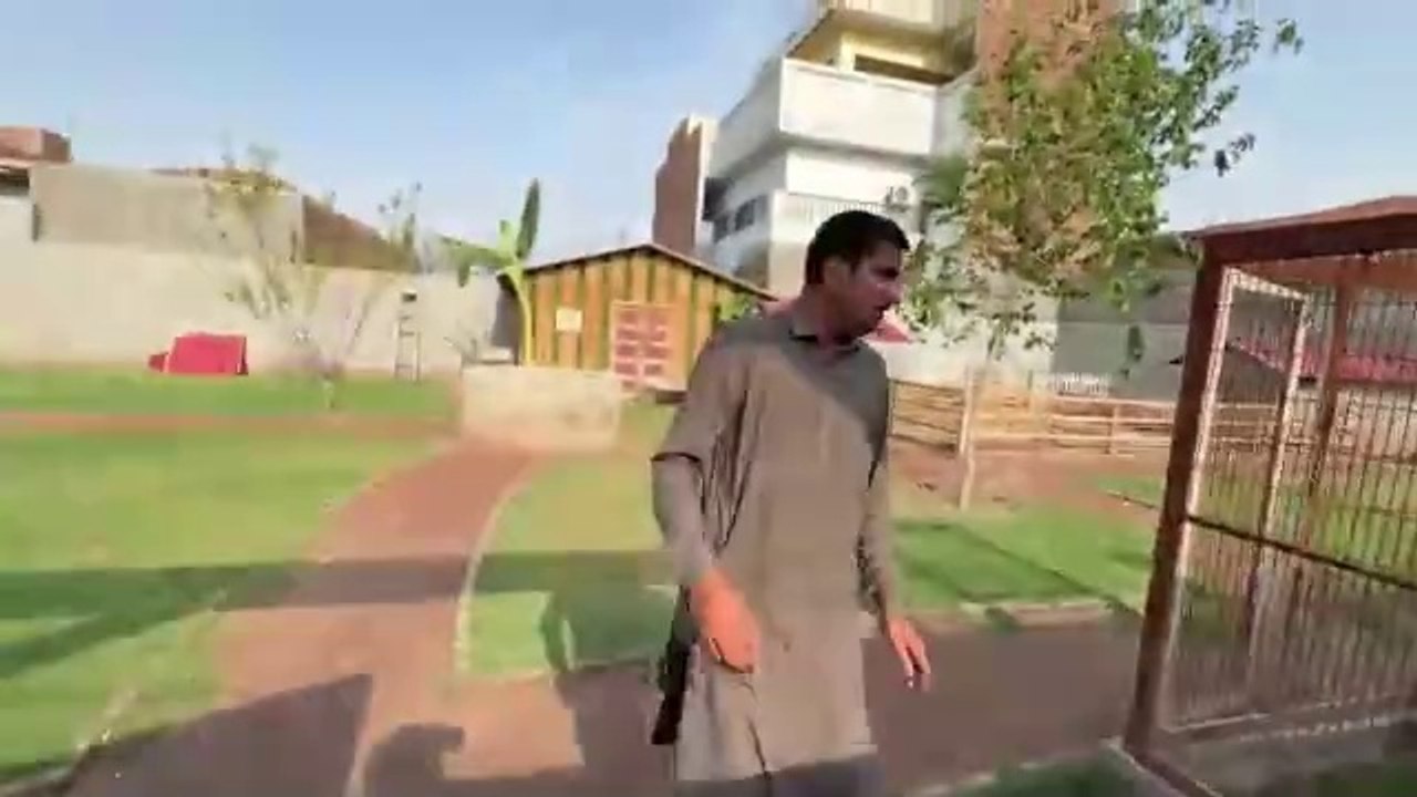 Hiran Ki Gardan Phas Gai Shehr Main Dehat Vlogs