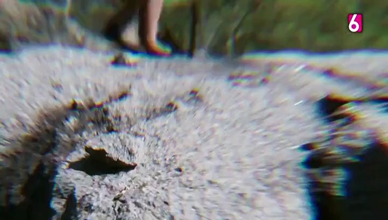 11. Amor Perfecto (Amor Perfeito), en español