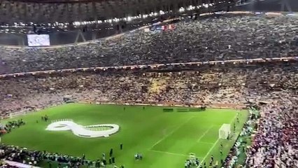 FIFA WorldCup Qatar 2022 Final Argentina Winning Movement Penalty   #Messi GOAT