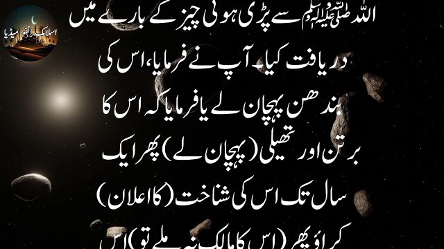 Sahi Bukhari Hadees 91 | Hazrat Muhammad Saw | Hadith of the day | Hadees e Nabvi | Hazrat Ali