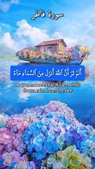 Surah fatir ❤️ biutiful recitation of the holy Quran