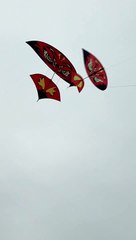 Thanh niên hướng dẫn cách hạ diều chụp bằng tay không cho diều sáo đâm gãy sáo