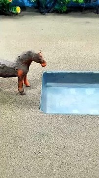 mini motor water pump project _ mini cow bathed diy mini tractor ideas cow video _ 94(360P)