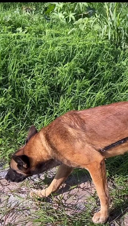 Localizaron el cuerpo de Patricia, la mujer que fue arrastrada por la corriente junto con su esposo el pasado domingo