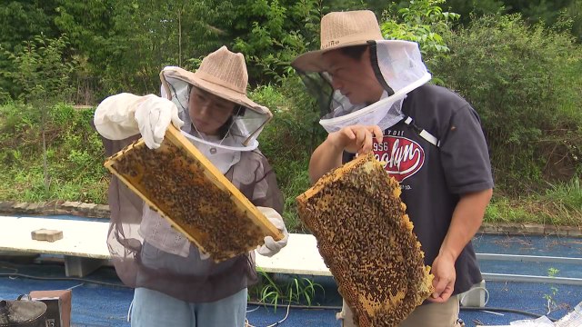 [청년농부] 가족과, 저녁이 있는 삶을 위해 ...귀농 7년 차 꿀벌 부부 / YTN